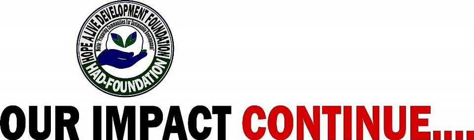 Executive Director